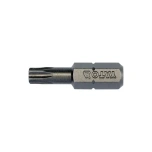T20 torx 1/4" otsik 10tk 25mm YT-78143
