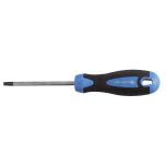 T20 Torx kruvikeeraja 100mm HT1S055 Y